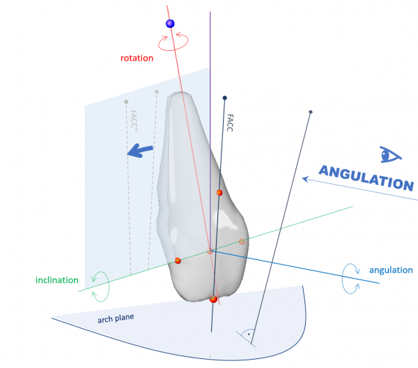 Measurement of Angulation